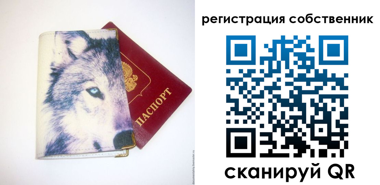 временная регистрация гарантия в Кувандыке